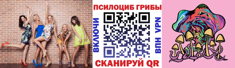 закладки Полесск ссылка на мегу онион Псилоцибиновые грибы Psilocybe